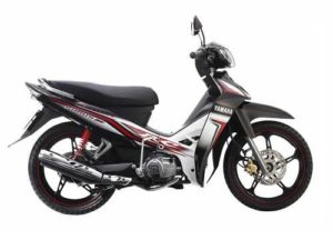 cho thuê xe máy ở quy nhơn giá rẻ